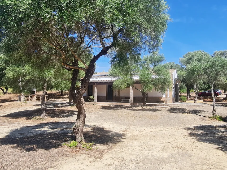 Finca i Alcala De Los Gazules, Cadiz - foto 4