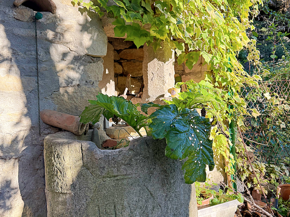 Villa i Vaison-la-Romaine, Vaucluse - foto 4