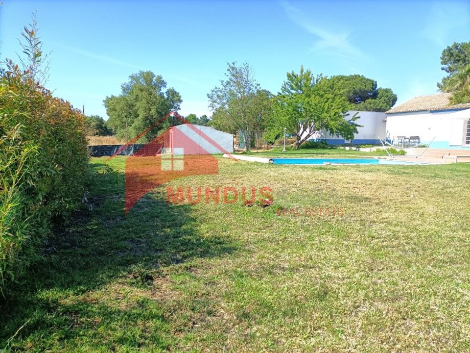 Farm i Brejos de Azeitao, Setubal - foto 3