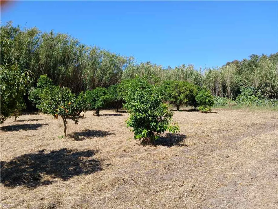 Villa i Arborea, Oristano - foto 2