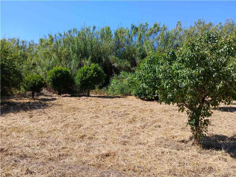 Villa i Arborea, Oristano - foto 3