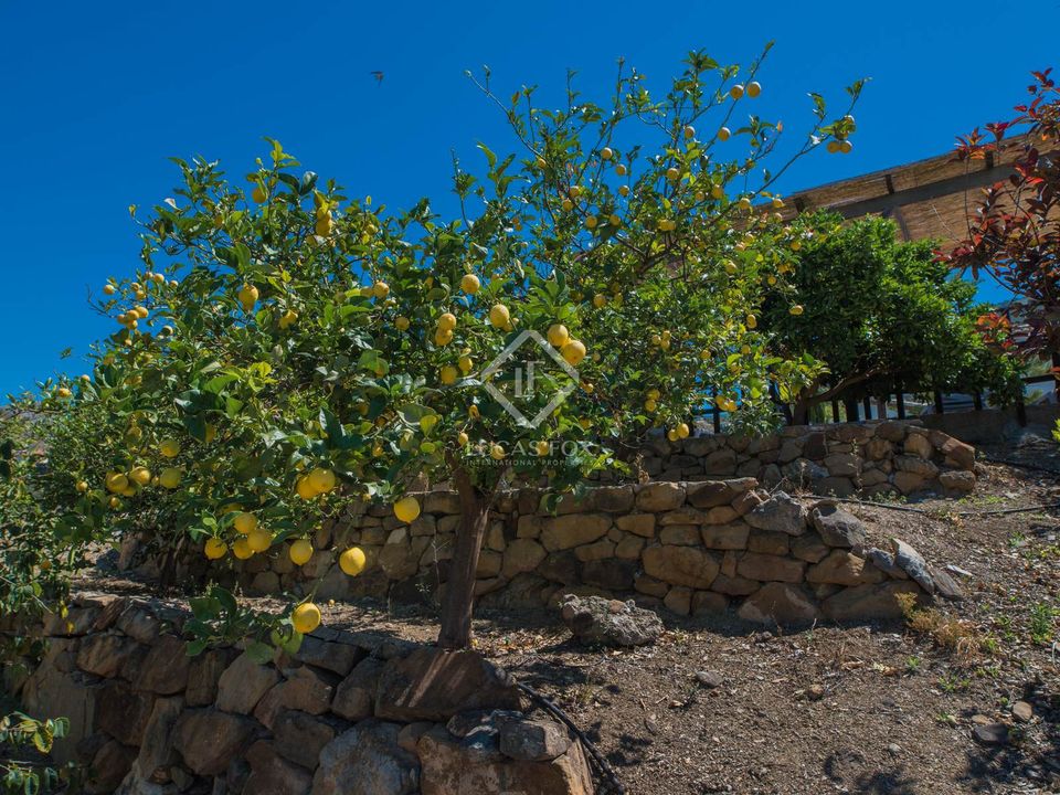 Landejendom i Alcaucin, Malaga - foto 4
