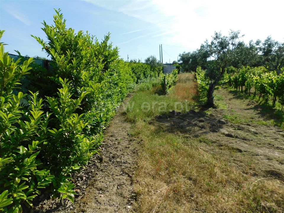 Landejendom i Seia, Guarda - foto 2