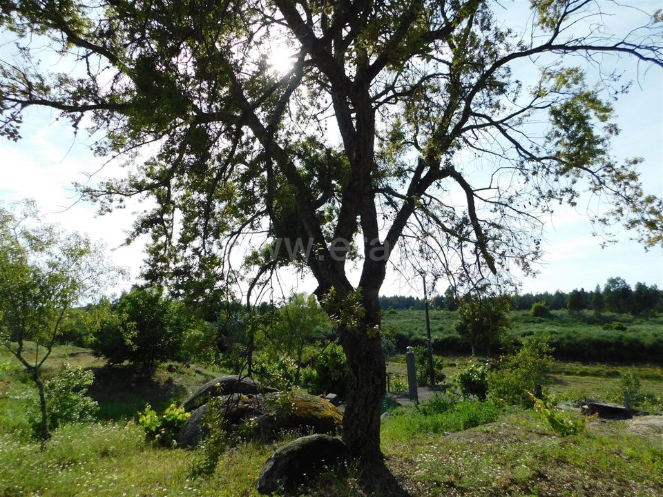 Landejendom i Seia, Guarda - foto 3