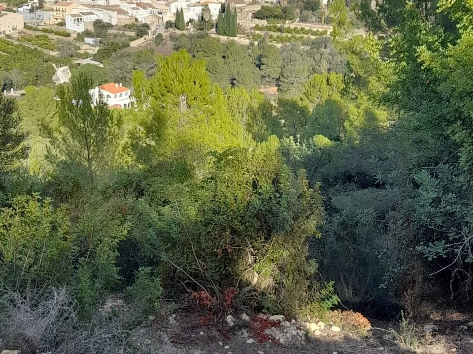 Helårsgrund i Benidoleig, Alicante - foto 1