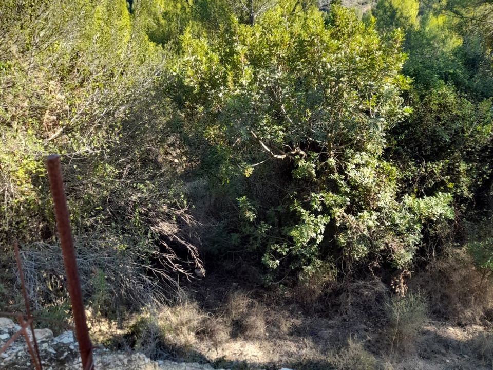 Helårsgrund i Benidoleig, Alicante - foto 3