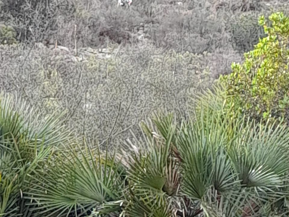 Helårsgrund i Benidoleig, Alicante - foto 5