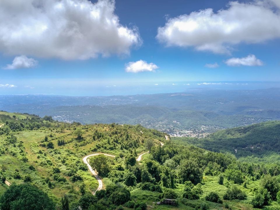 Villa a Tourrettes-sur-Loup, Alpes-Maritimes - foto 4