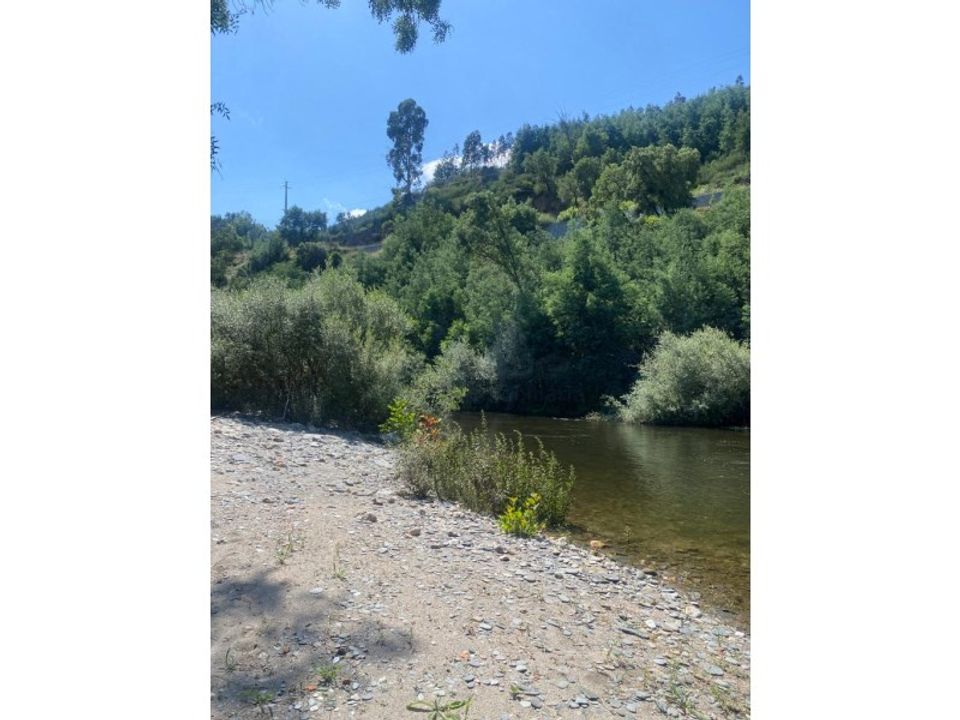 Farm i Arganil, Coimbra - foto 4