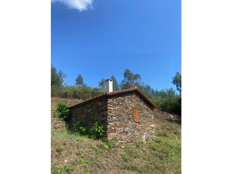 Farm i Arganil, Coimbra - foto 3