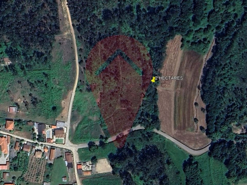 Helårsgrund i Valenca, Viana do Castelo - foto 5