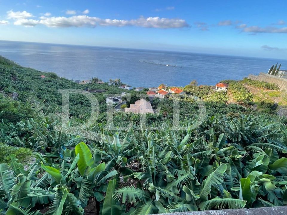 Helårsgrund i Arco da Calheta, Madeira - foto 2