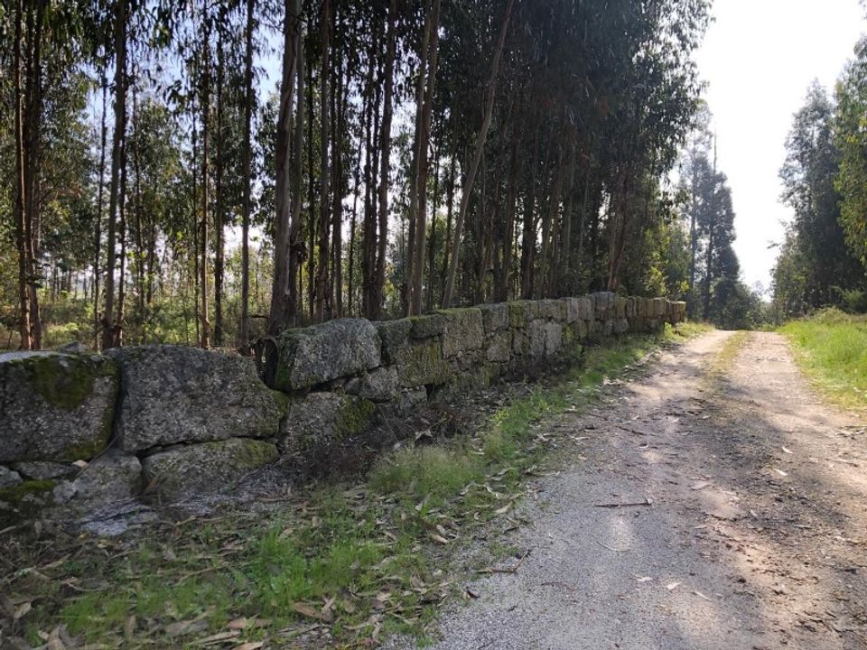 Helårsgrund i Cabanas de Viriato, Viseu - foto 1