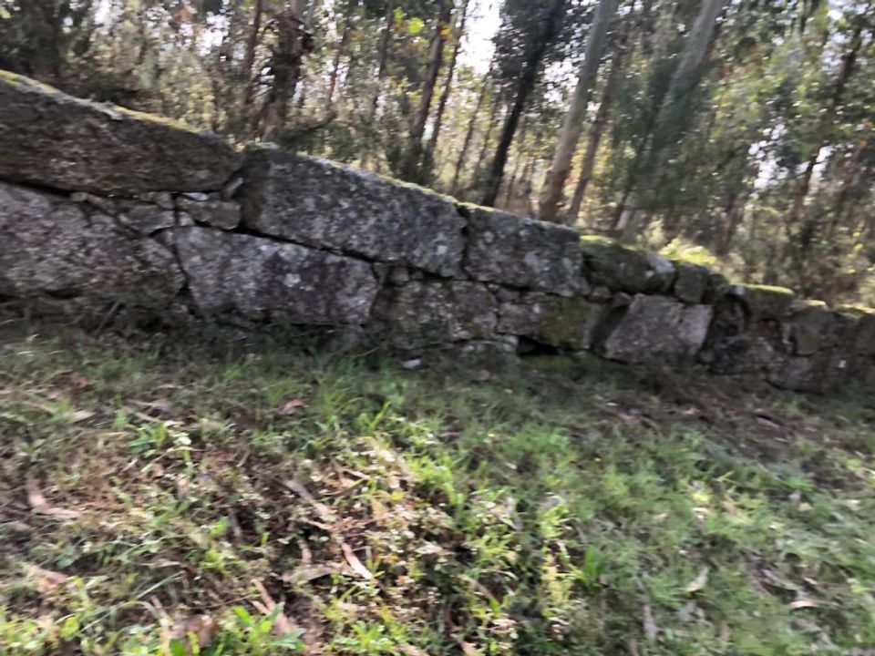 Helårsgrund i Cabanas de Viriato, Viseu - foto 4
