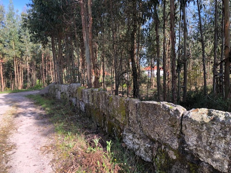 Helårsgrund i Cabanas de Viriato, Viseu - foto 3