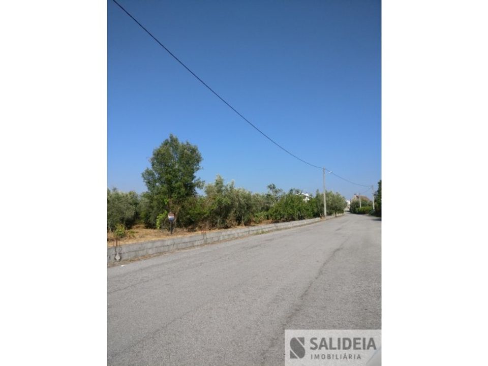 Helårsgrund i Oliveira do Conde, Viseu - foto 1