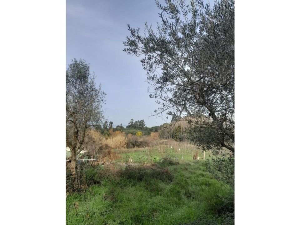 Helårsgrund i Carregal do Sal, Viseu - foto 3