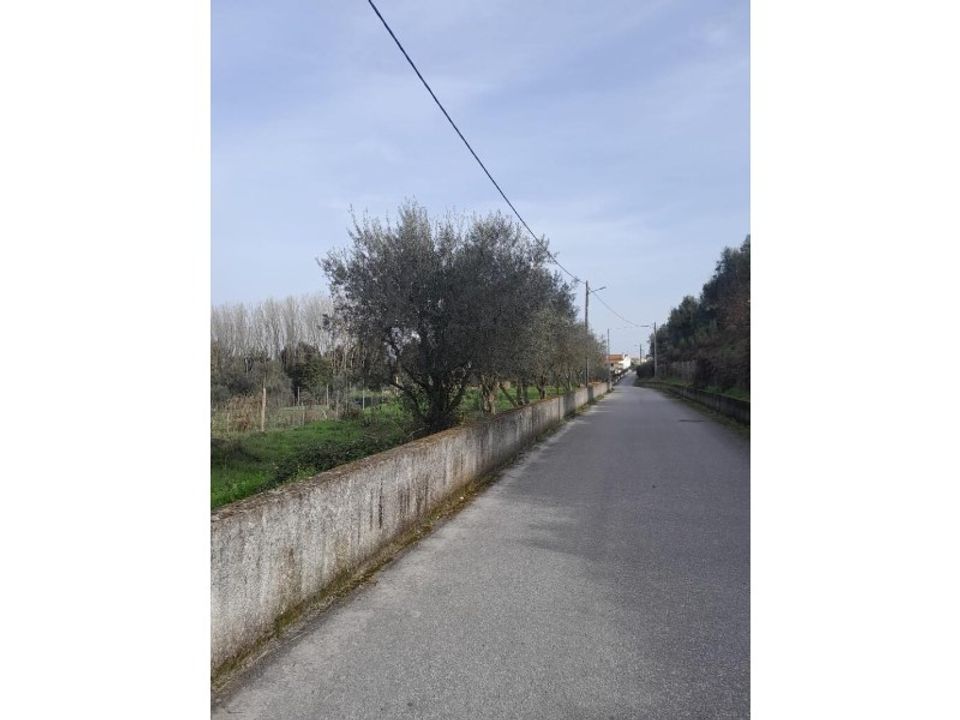 Helårsgrund i Carregal do Sal, Viseu - foto 2