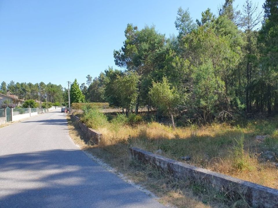 Helårsgrund i Oliveira do Conde, Viseu - foto 1
