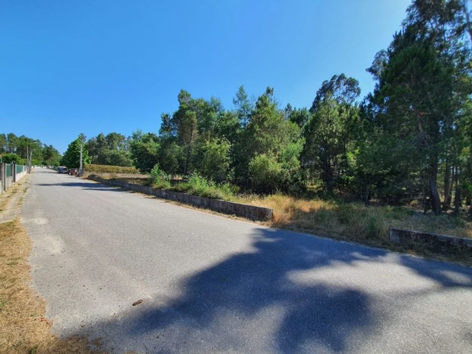 Helårsgrund i Oliveira do Conde, Viseu - foto 4