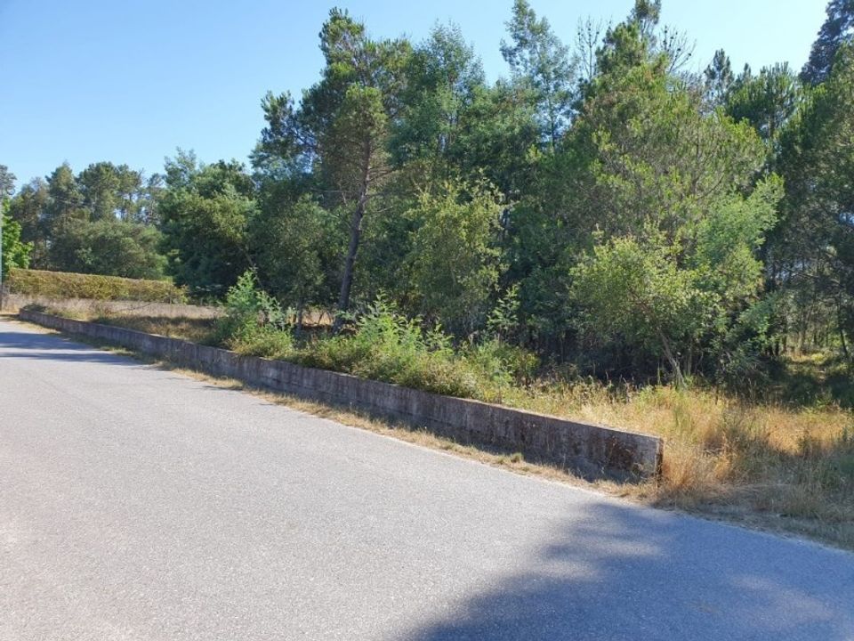 Helårsgrund i Oliveira do Conde, Viseu - foto 5