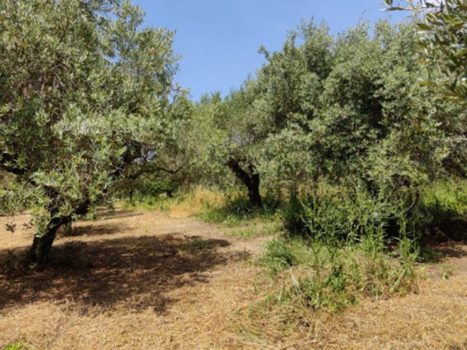 Helårsgrund i Eboli, Salerno - foto 2