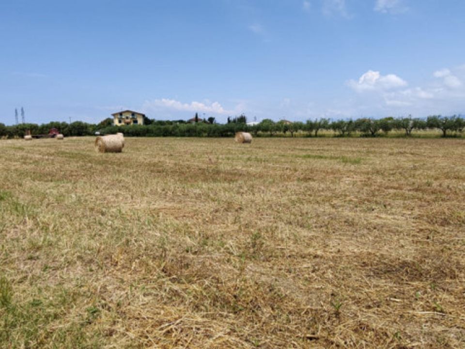 Helårsgrund i Eboli, Salerno - foto 5
