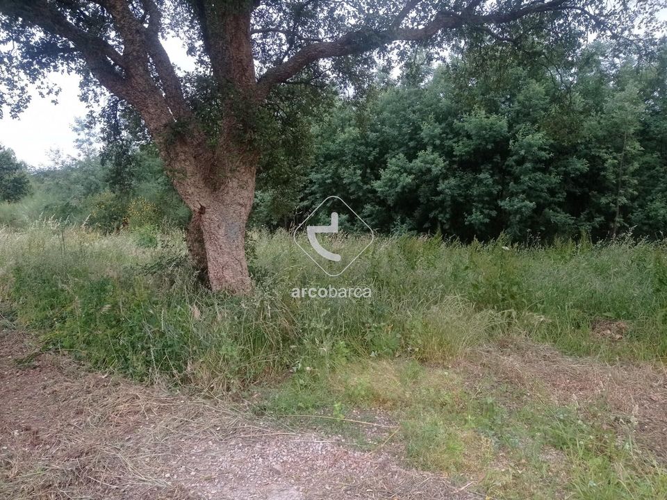 Helårsgrund i Valenca, Viana do Castelo - foto 4