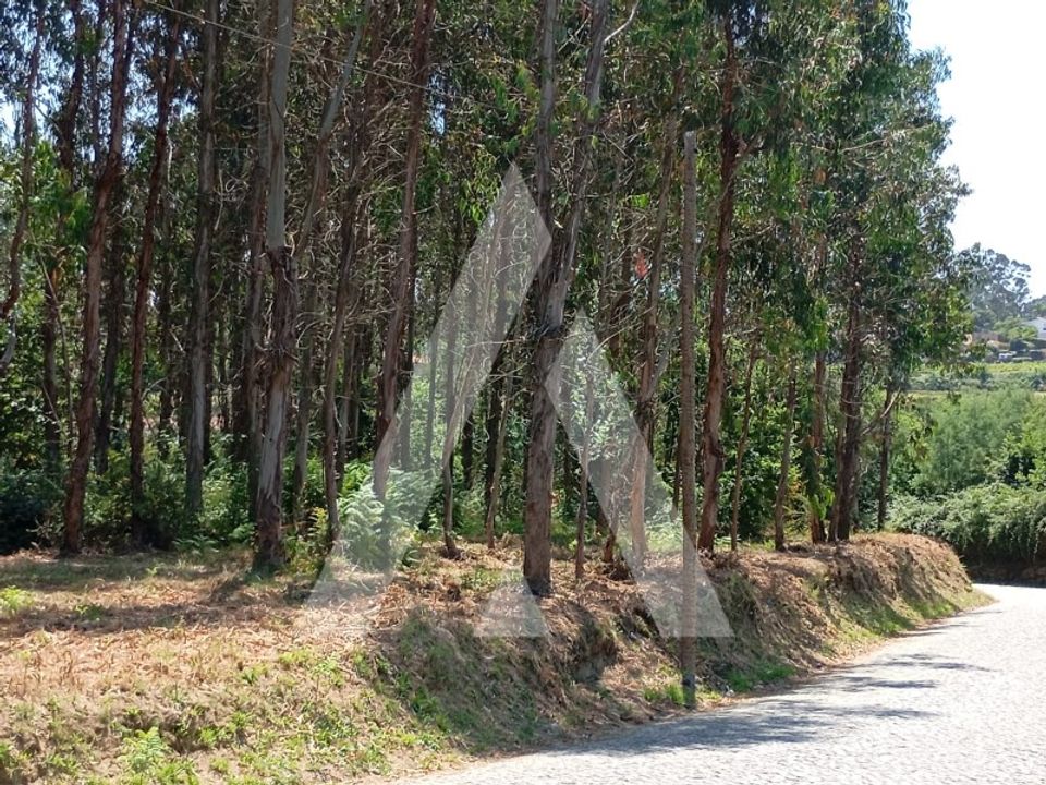 Helårsgrund i Guilhufe e urro, Porto - foto 1