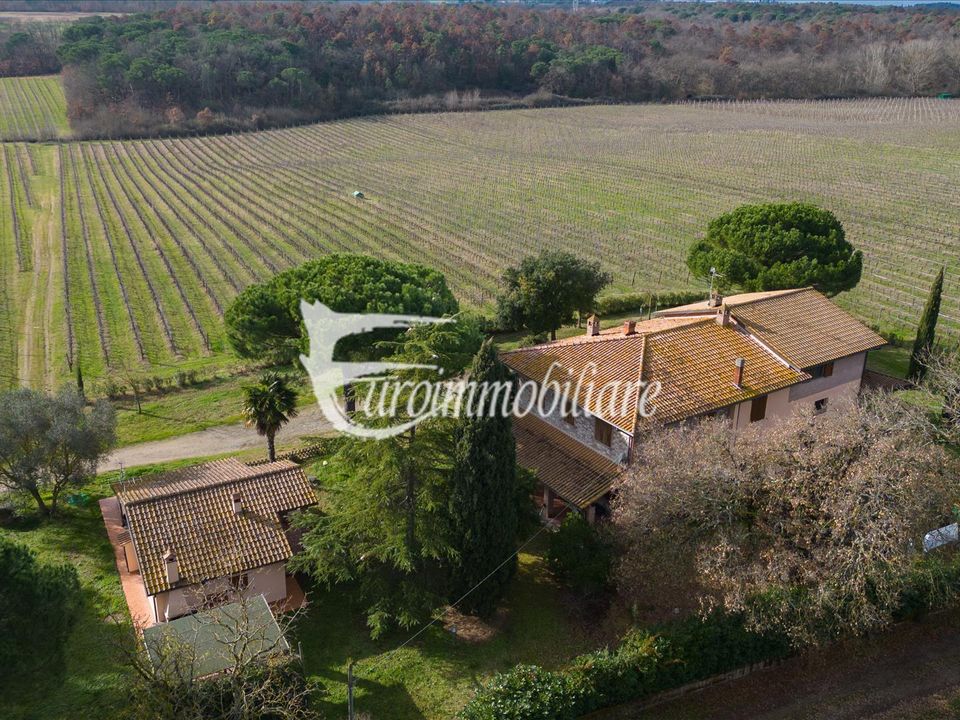 Farm i Castiglione del Lago, Perugia - foto 5