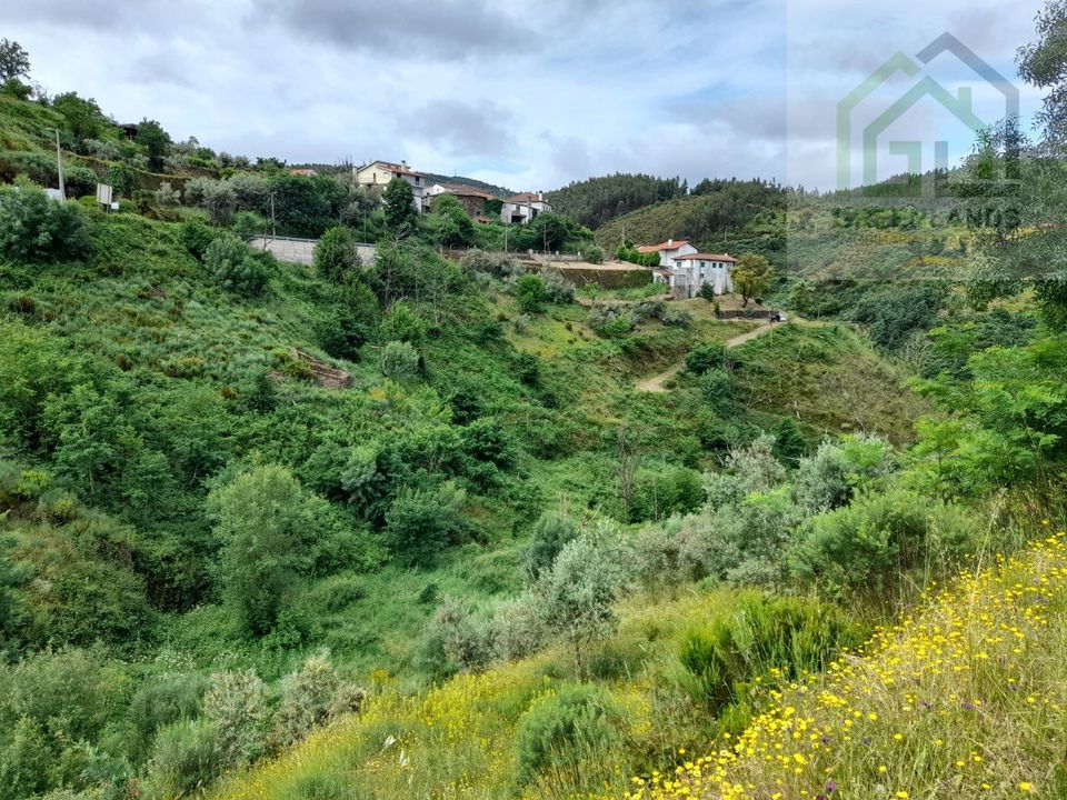 Helårsgrund i Arganil, Coimbra - foto 5