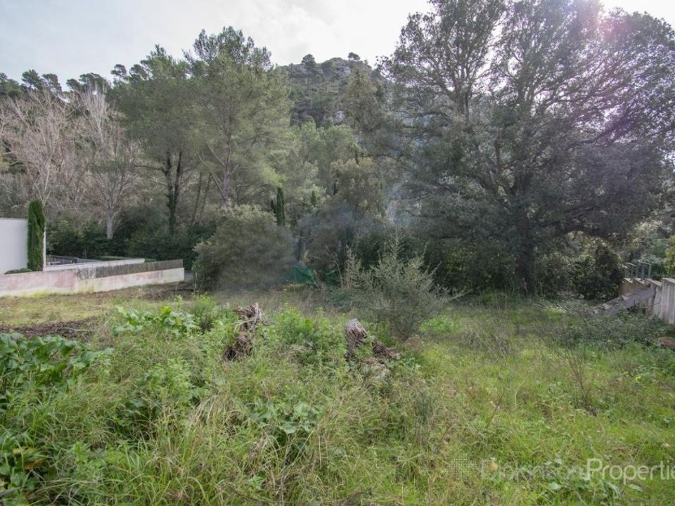 Helårsgrund i Pollenca, Mallorca - foto 5