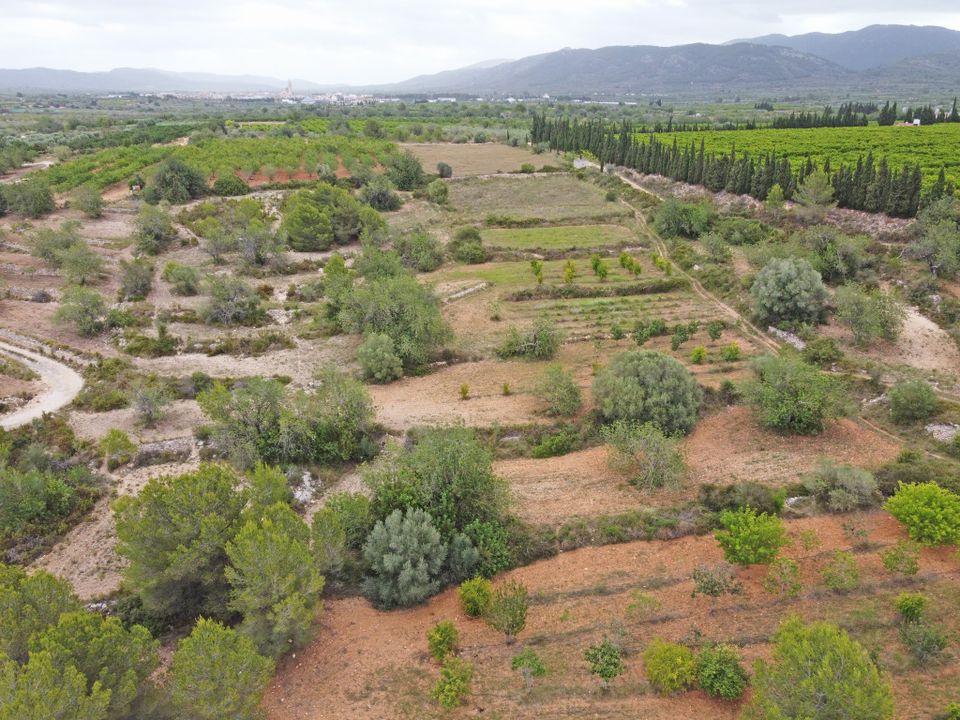 Farm i Alcala De Xivert, Castellon - foto 4