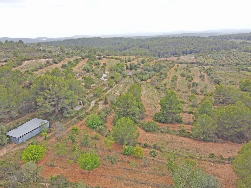 Farm i Alcala De Xivert, Castellon - foto 2
