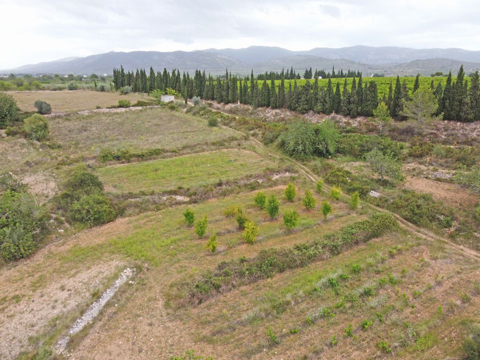 Farm i Alcala De Xivert, Castellon - foto 3