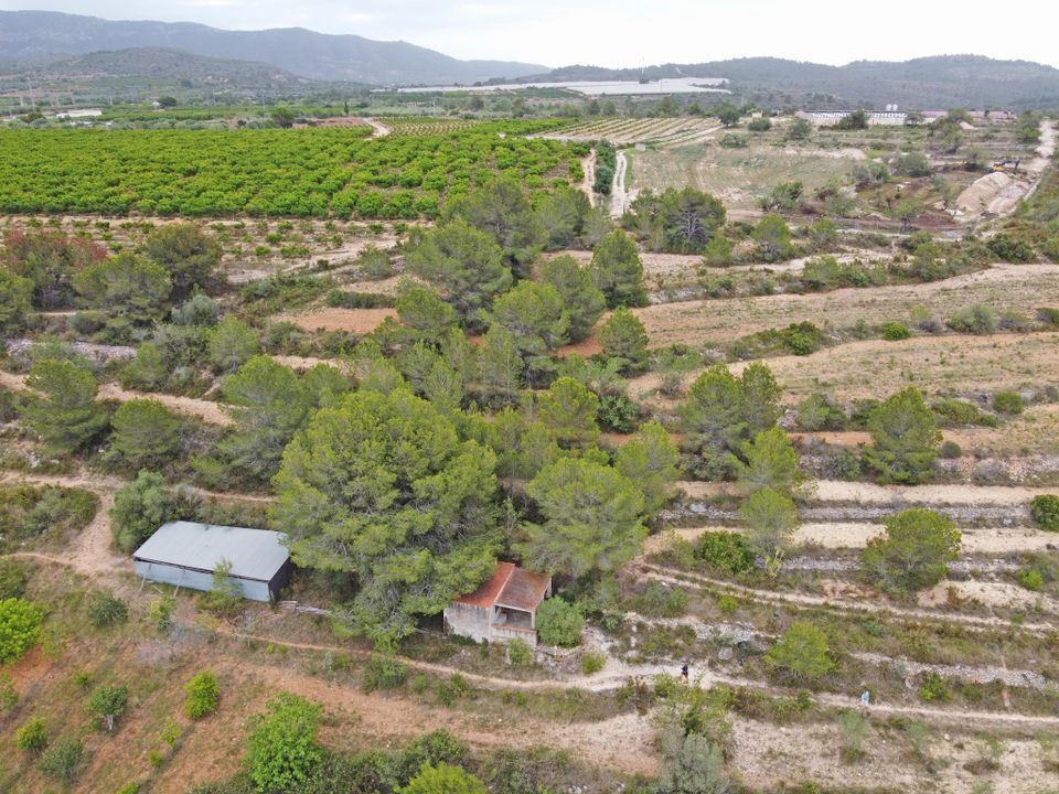 Farm i Alcala De Xivert, Castellon - foto 5