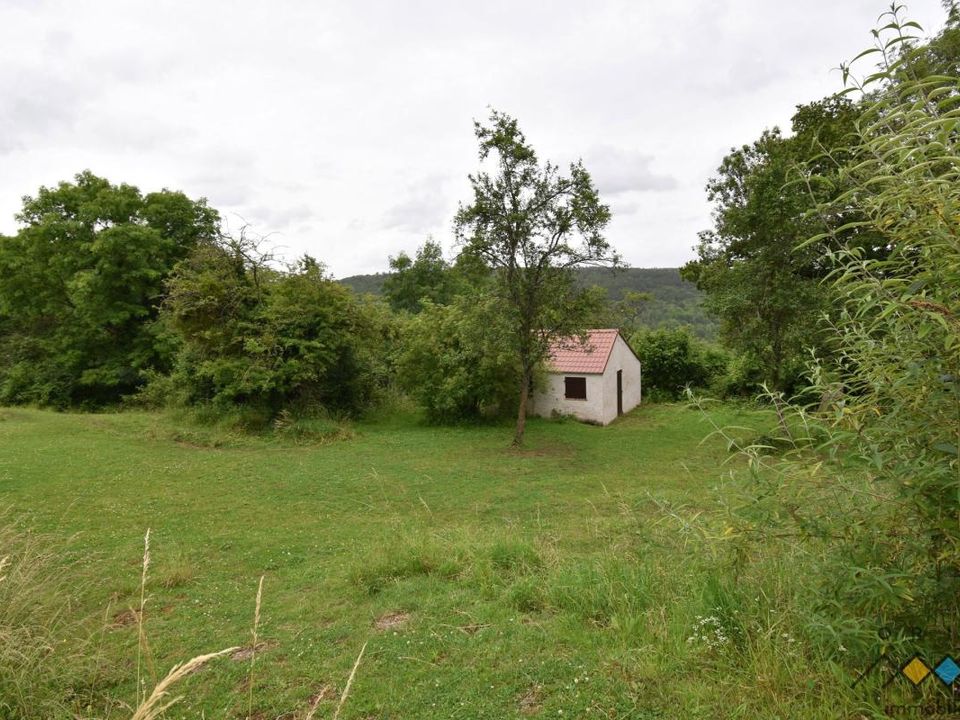 Landejendom i Pagny-sur-Moselle, Meurthe-et-Moselle - foto 3