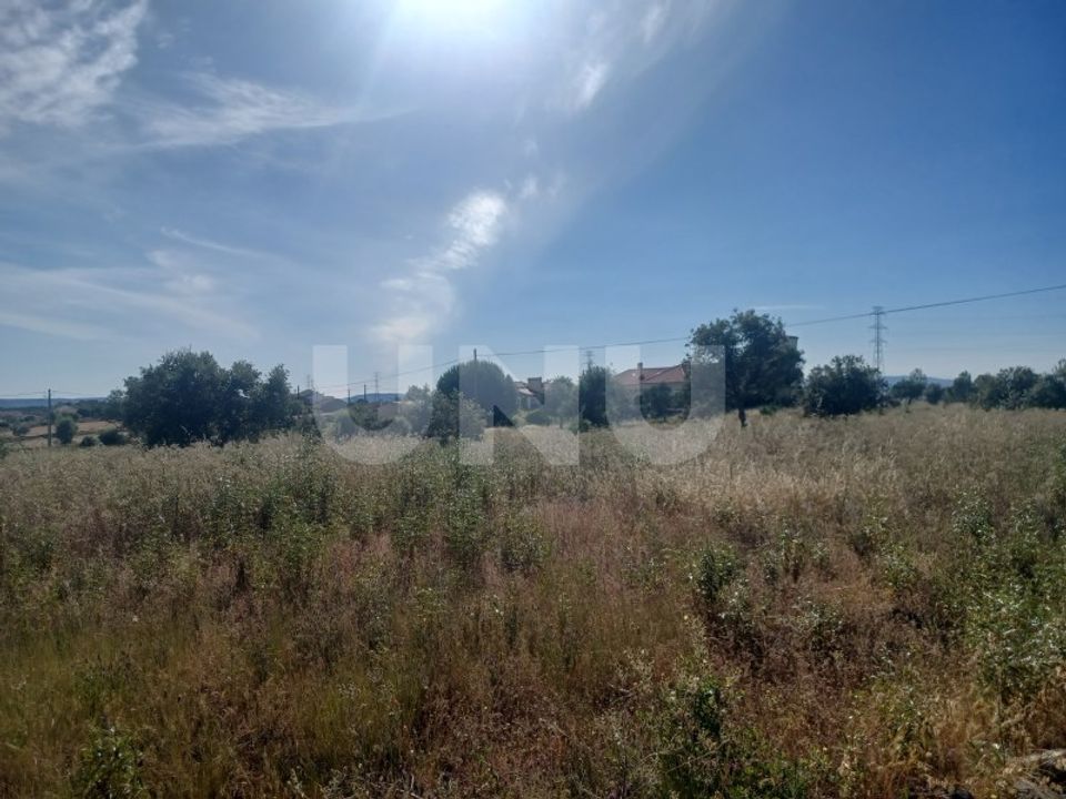 Helårsgrund i Vila Velha de Rodao, Castelo Branco - foto 3