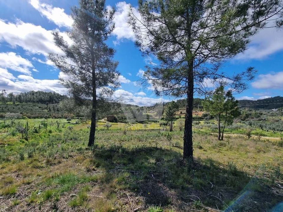 Helårsgrund i Castelo Branco, Castelo Branco - foto 4