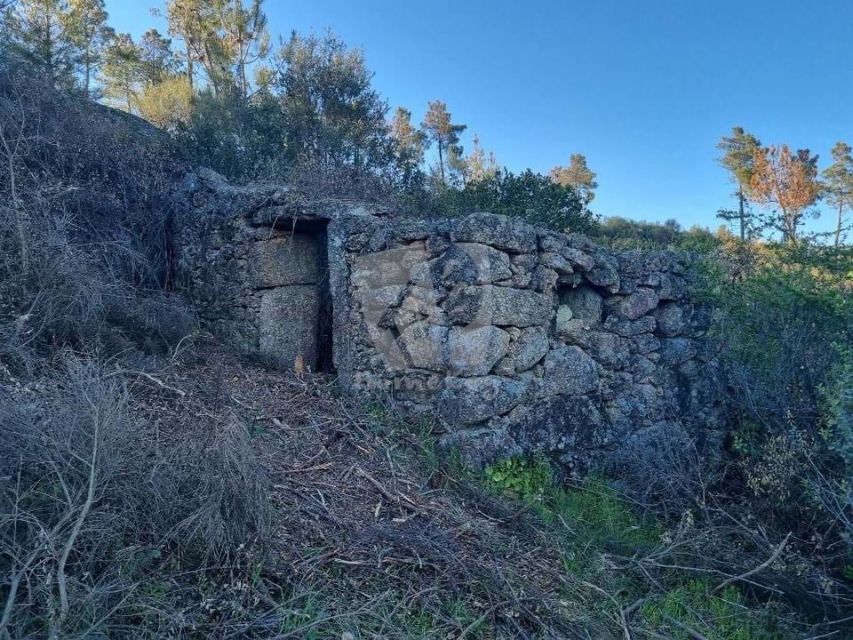 Helårsgrund i Castelo Branco, Castelo Branco - foto 4