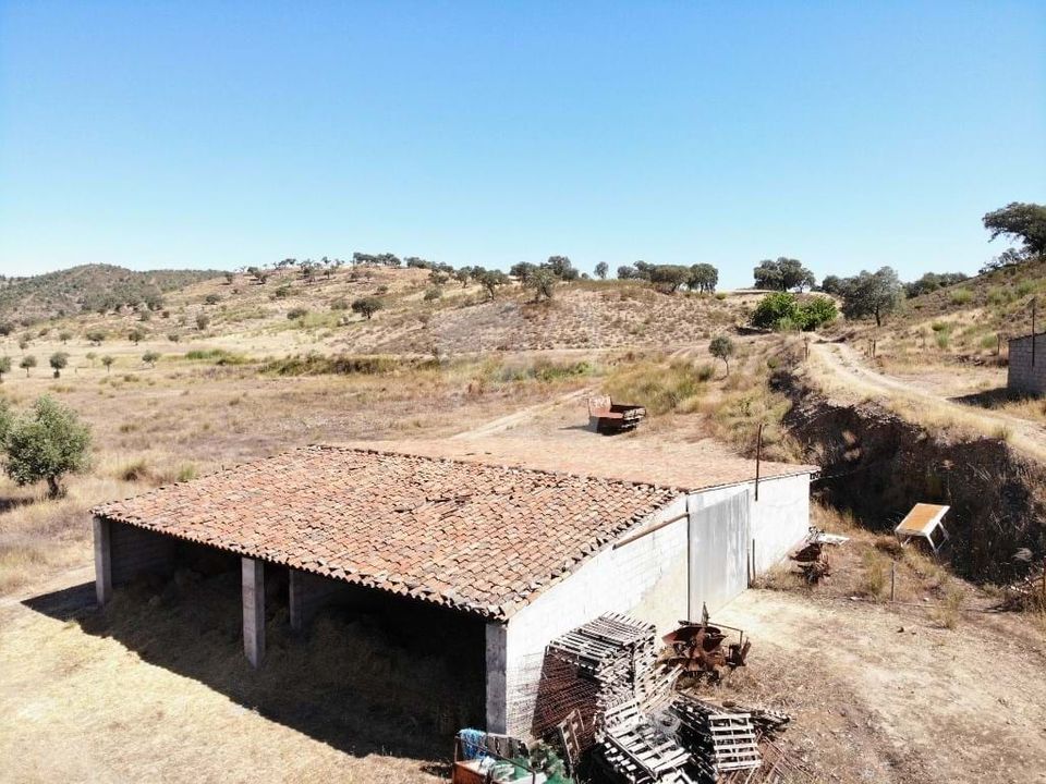 Farm hus i Escalos de Baixo, Castelo Branco - foto 4