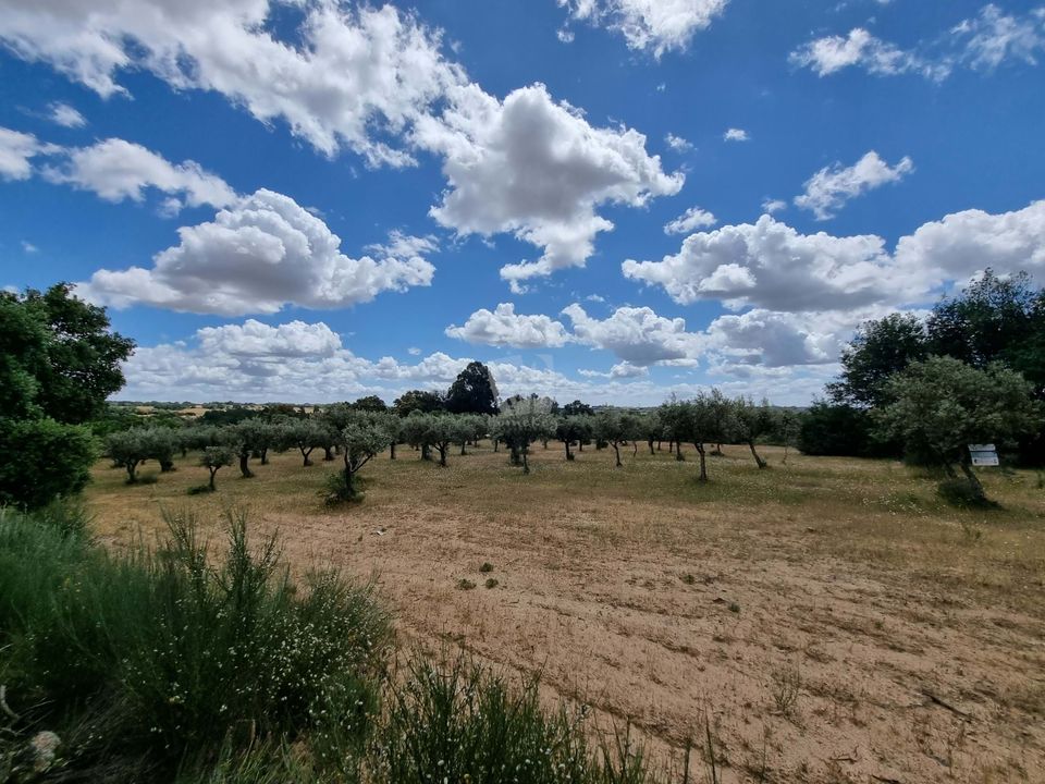 Helårsgrund i Castelo Branco, Castelo Branco - foto 4