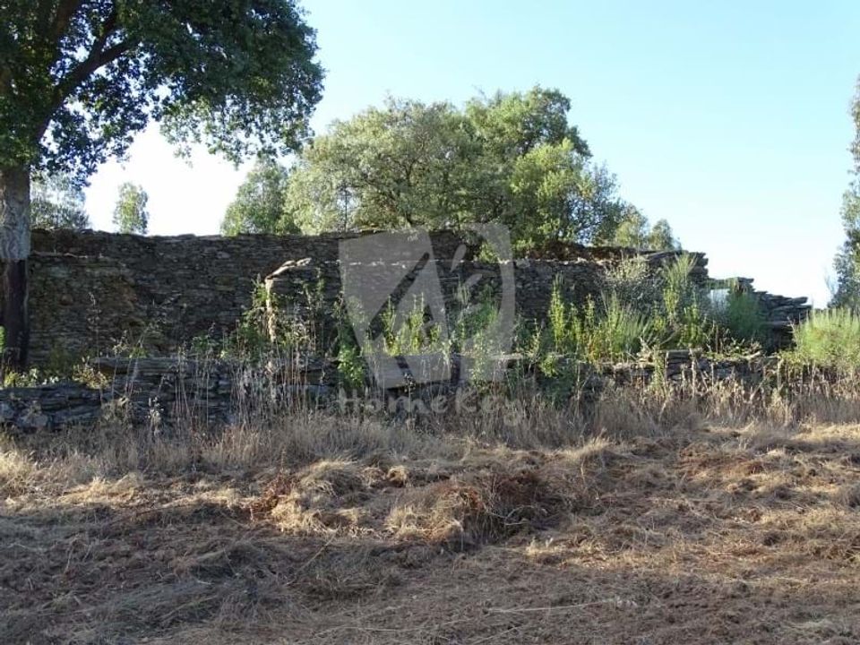Helårsgrund i Idanha-a-Nova, Castelo Branco - foto 1