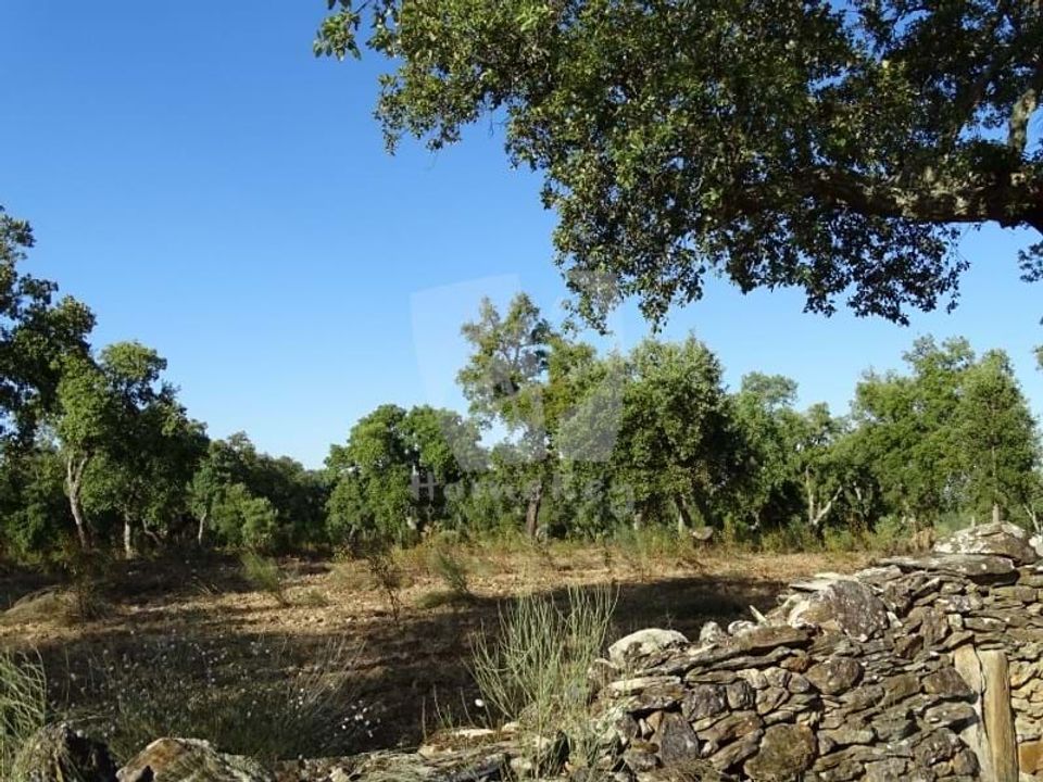 Helårsgrund i Idanha-a-Nova, Castelo Branco - foto 2