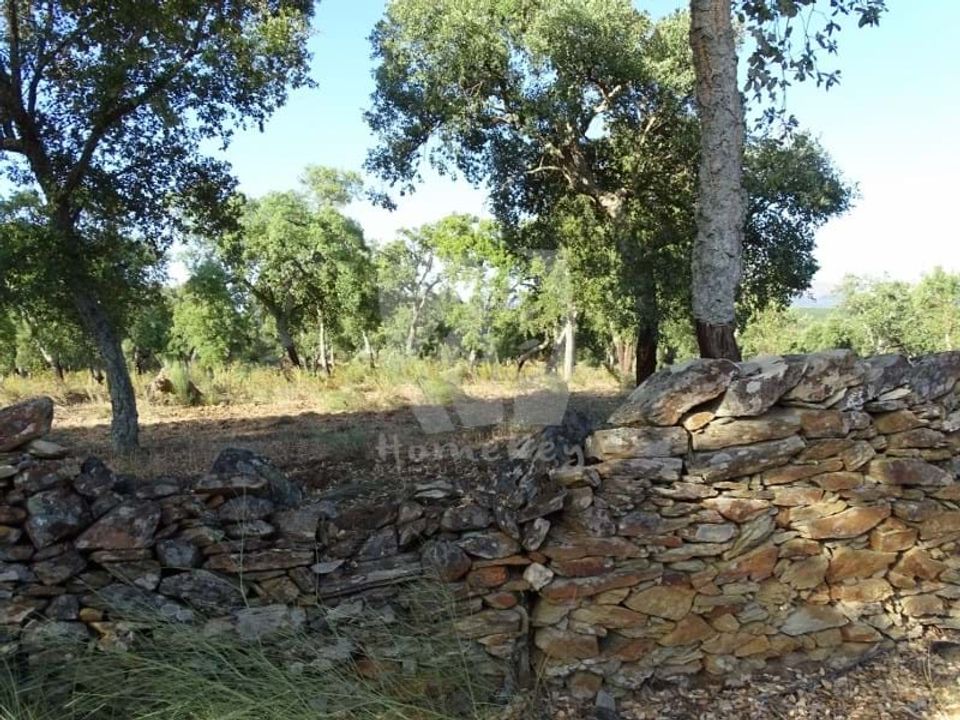 Helårsgrund i Idanha-a-Nova, Castelo Branco - foto 3
