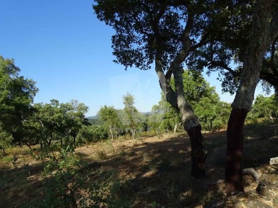 Helårsgrund i Idanha-a-Nova, Castelo Branco - foto 5