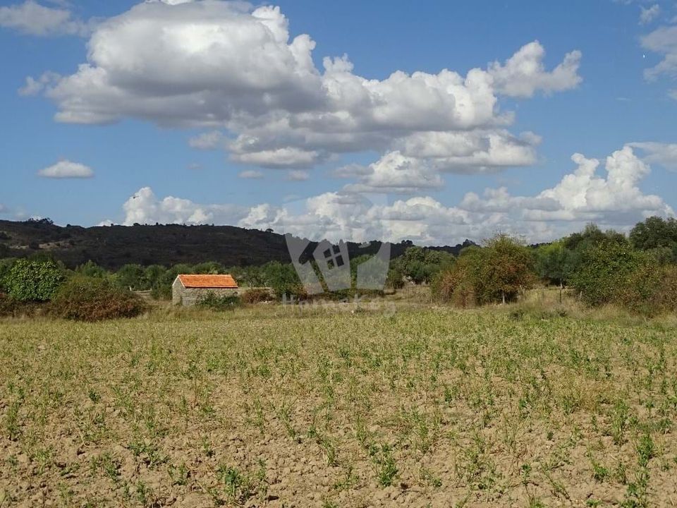 Helårsgrund i Idanha-a-Nova, Castelo Branco - foto 1