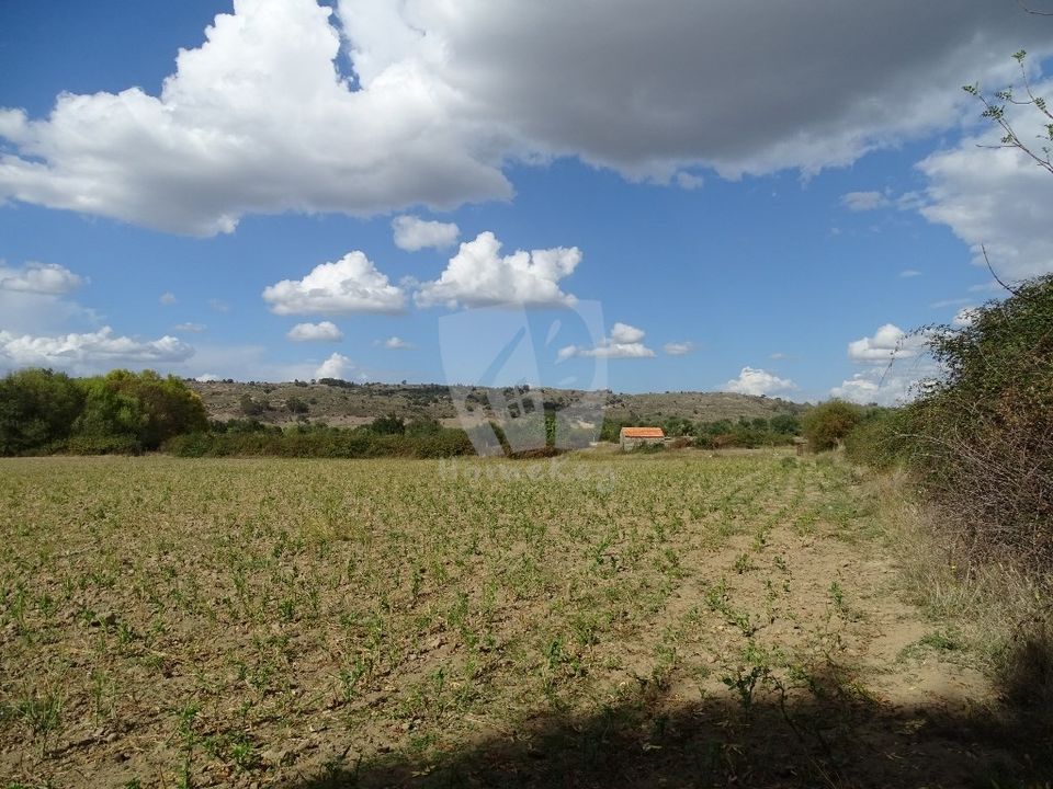 Helårsgrund i Idanha-a-Nova, Castelo Branco - foto 5