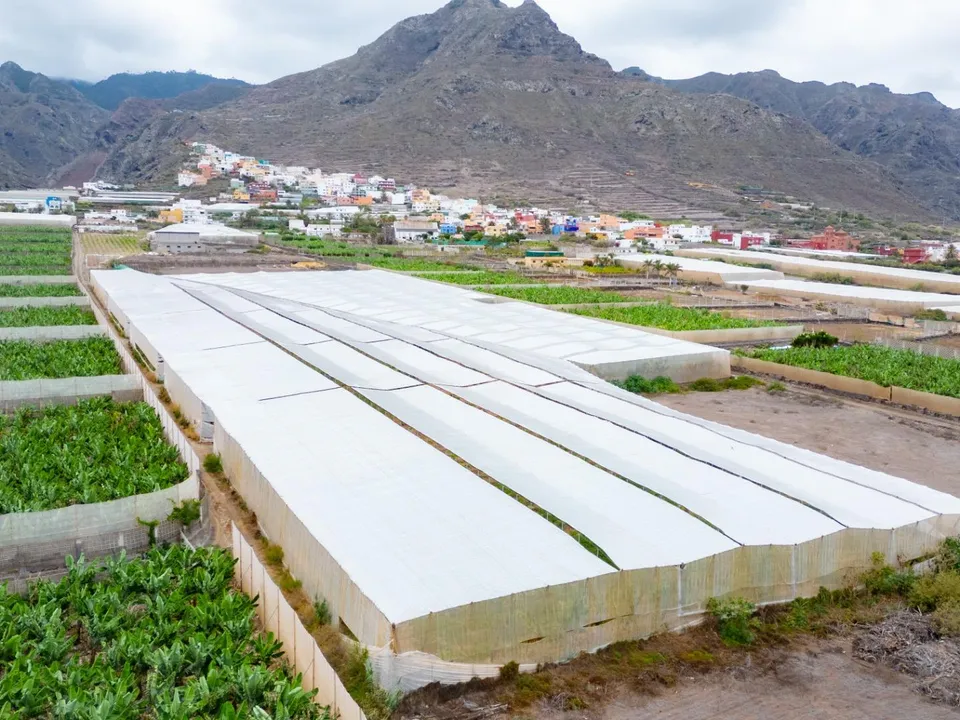 Tomt i La Laguna, Tenerife - bilde 2