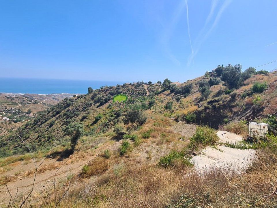 Helårsgrund i Sayalonga, Malaga - foto 2
